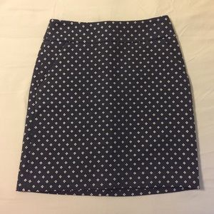 Ann Taylor Skirt